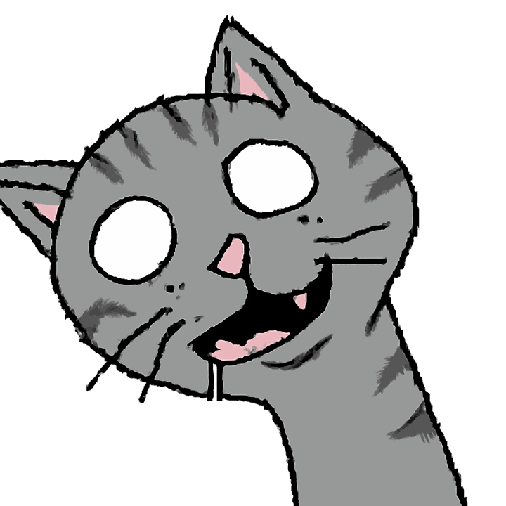 Retarded Cat: a grey tabby with a crooked head, mismatched eyes and a drool string